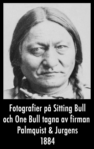 Sitting BUll